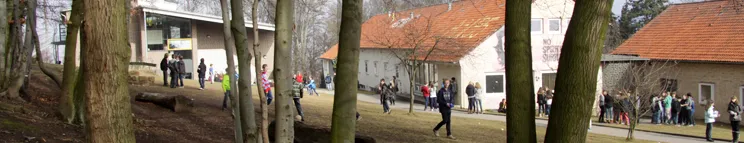Wald