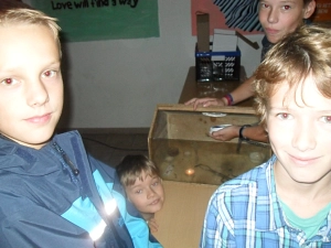 Rauchmelderinfo_2